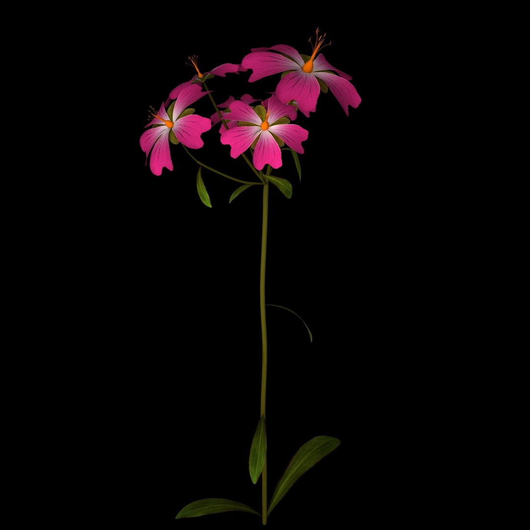 flowers open animation 3D model https://p.turbosquid.com/ts-thumb/mY/0JSTz6/jZm2CO2Q/013/jpg/1594379816/1920x1080/fit_q87/1876385cf773cc30c3d80367ecd776b81c54ecca/013.jpg