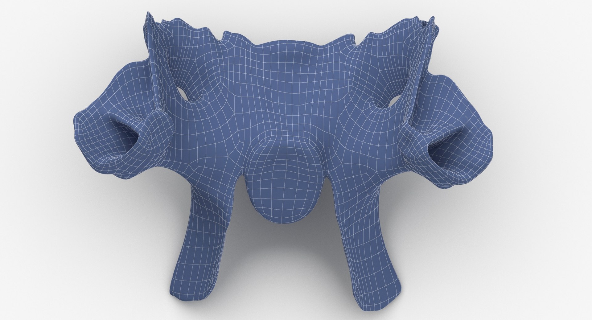 Domestic Calf Bos Primigenius 3D Model - TurboSquid 1577821