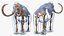 3D Adult Mammoth Old Skeleton Shell Rigged for Modo model