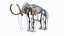 3D Adult Mammoth Old Skeleton Shell Rigged for Modo model