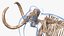 3D Adult Mammoth Old Skeleton Shell Rigged for Modo model