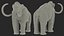 3D Adult Mammoth Old Skeleton Shell Rigged for Modo model