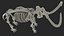 3D Adult Mammoth Old Skeleton Shell Rigged for Modo model