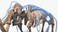 3D Adult Mammoth Old Skeleton Shell Rigged for Modo model