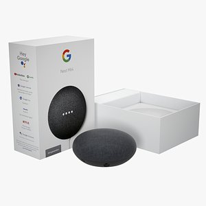 3D model Google Nest Mini With Packaging