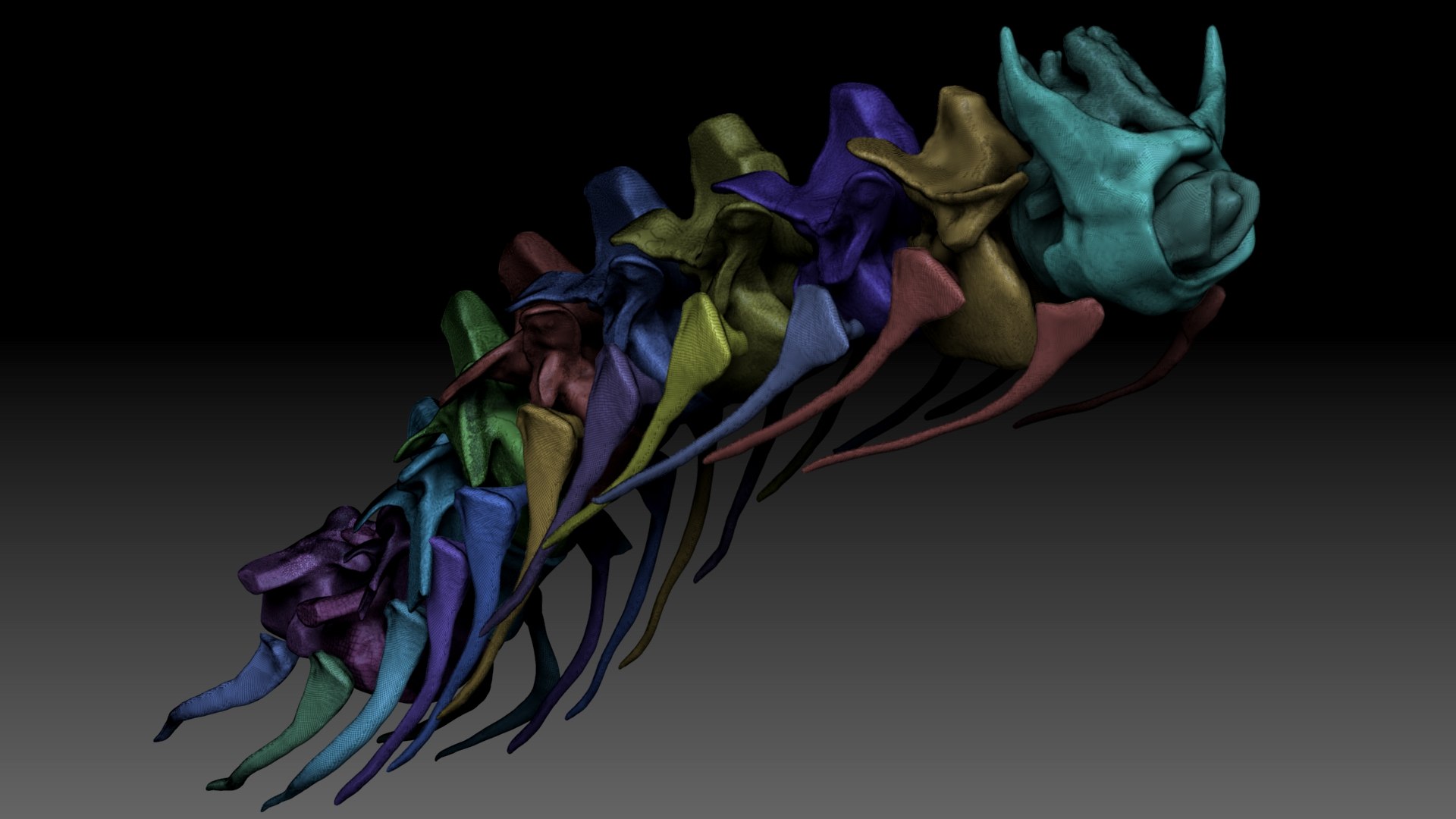 Spinosaurus 2020 version Neck Set Skeletons  Sculpt Project 3D model https://p.turbosquid.com/ts-thumb/mY/FkvSZR/PU/sh8.1/jpg/1634850979/1920x1080/fit_q87/bbd1f31458867a54b79c393811c96b0c35b9a738/sh8.1.jpg