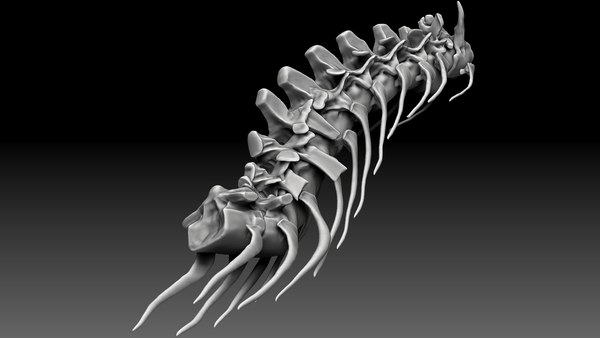 spinosaurus skeleton 2020