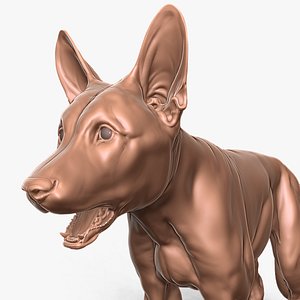 Young Adolescent German Shepherd Primary Forms Zbrush Sculpt 3D model