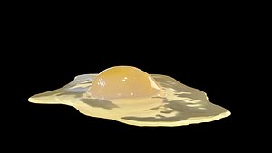 Raw Egg model