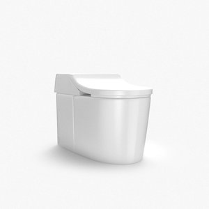 Japanese style toilet bowl 3D