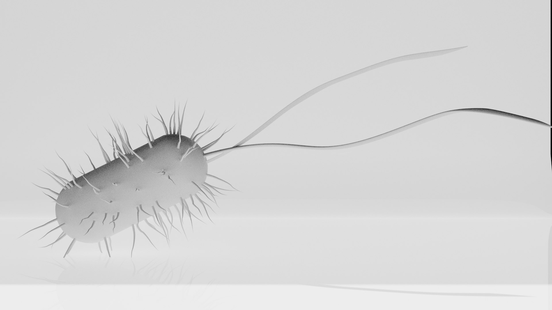 3D Model Bacteria - TurboSquid 1843427