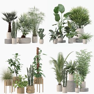 20 Photorealistic Flowers for Interiors - set 203 205 207 218