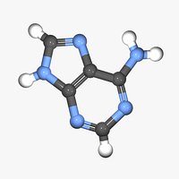 DNA - Adenine Nucleobase