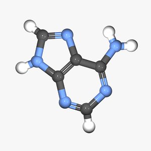 DNA - Adenine Nucleobase