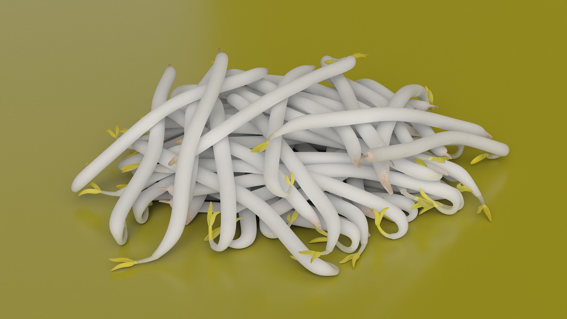 Bean Sprout Pile model https://p.turbosquid.com/ts-thumb/mY/y9pWZU/3r/bean_sprout_pile_005/jpg/1753745982/1920x1080/fit_q87/bffc711074df70342ce20ccfc3ad9a65682a4650/bean_sprout_pile_005.jpg