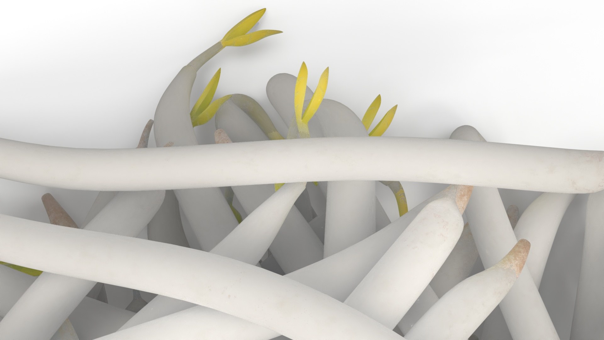 Bean Sprout Pile model https://p.turbosquid.com/ts-thumb/mY/y9pWZU/MR/bean_sprout_pile_007/jpg/1753745988/1920x1080/fit_q87/eaed9a48085de77a0f97616f888c27c4cfdd930f/bean_sprout_pile_007.jpg