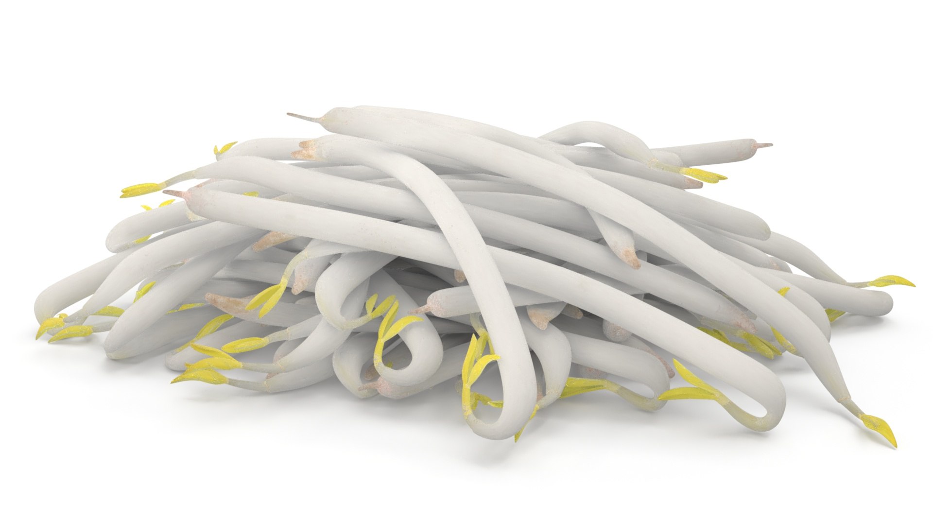 Bean Sprout Pile model https://p.turbosquid.com/ts-thumb/mY/y9pWZU/zN/bean_sprout_pile_006/jpg/1753745986/1920x1080/fit_q87/6d61c7172397dcb43d86c46a95beed07bb7bf3f9/bean_sprout_pile_006.jpg