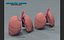 Lungs Pro Animated Textured BM