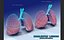 Lungs Pro Animated Textured BM