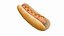 Classic Hot Dog with Mustard Ketchup