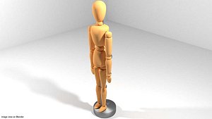 Mannequin - Human Fiqure