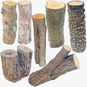Logs and Stumps Collection V3 3D model