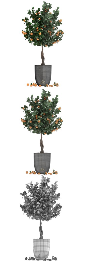 3D mandarin tree fruit https://p.turbosquid.com/ts-thumb/mZ/OfCIzj/OEjqHwQv/mandarin28011906/jpg/1548710504/1920x1080/fit_q87/dfc82eb2ed76baf0645e24799173f0a961e2cce1/mandarin28011906.jpg