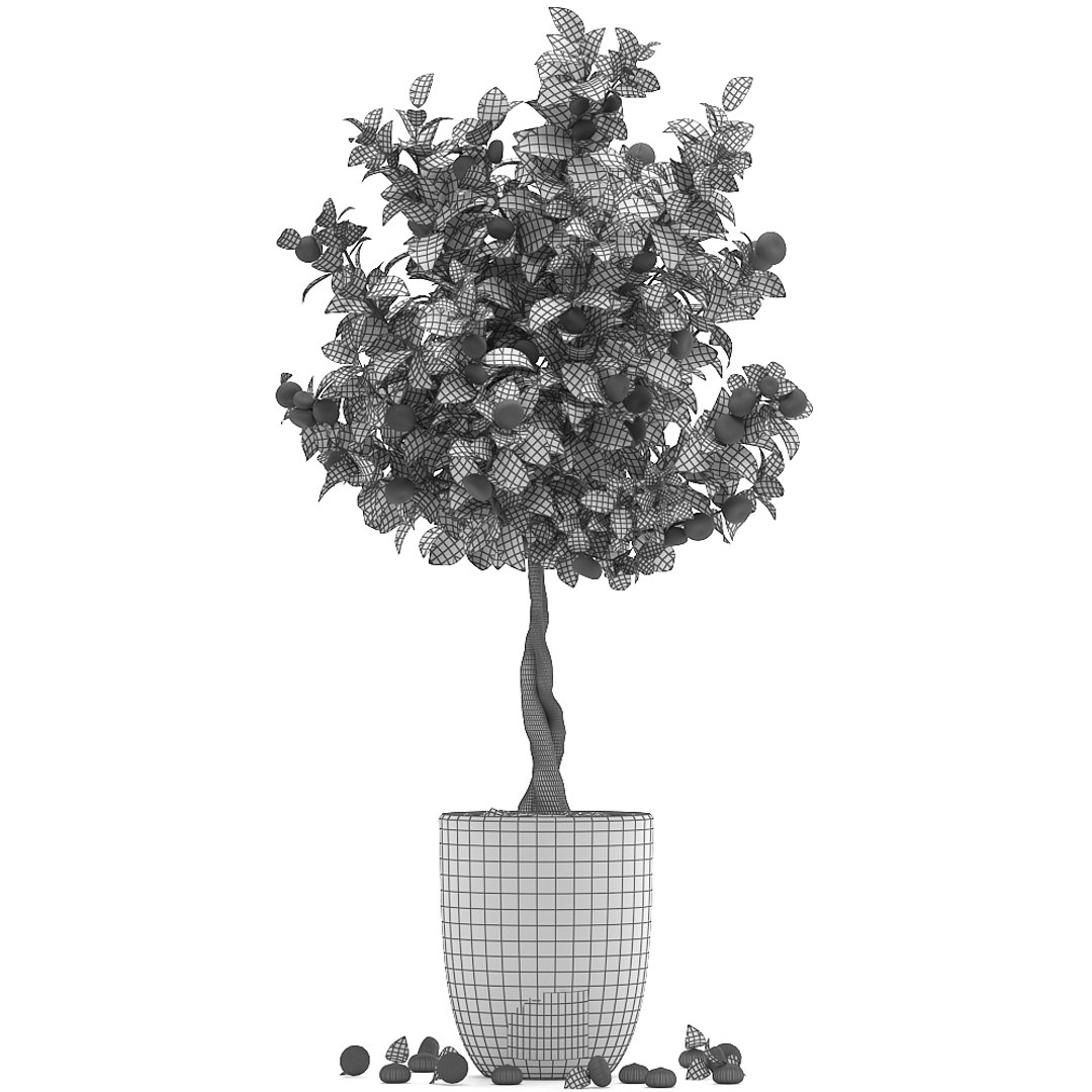 3D mandarin tree fruit https://p.turbosquid.com/ts-thumb/mZ/OfCIzj/eVKTZBOz/mandarin28011909/jpg/1548710504/1920x1080/fit_q87/4d6955a92a550c91ec6246b4be95e4203abb5911/mandarin28011909.jpg