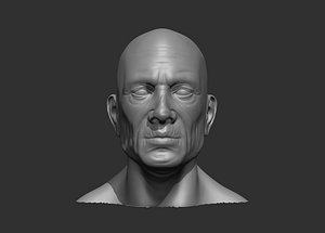 3D male old head model