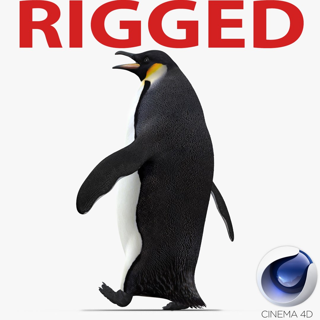 Emperor Penguin Rigged for Cinema 4D 3D model preview