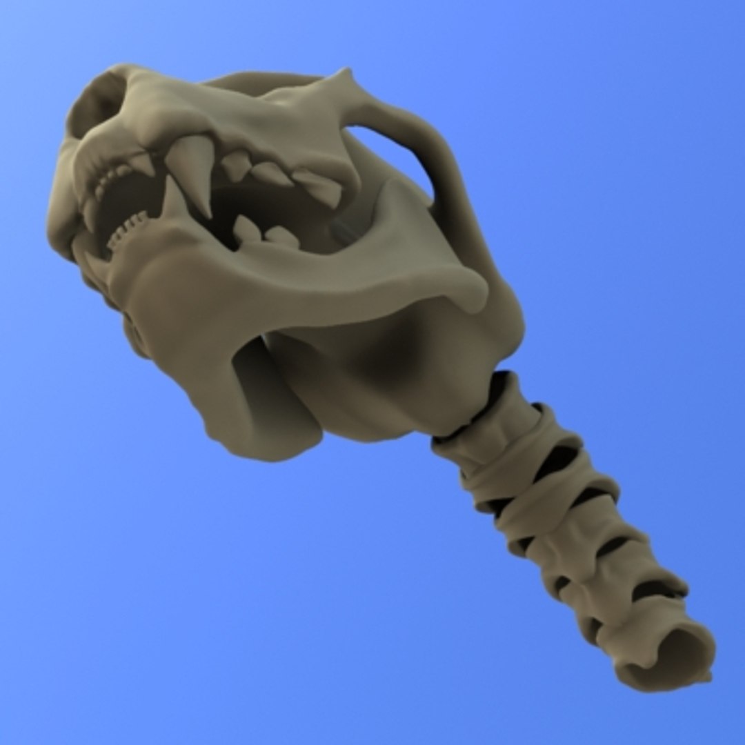 Skull Panther 3d Model