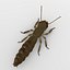 termite life 3d 3ds