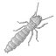 termite life 3d 3ds
