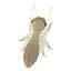 termite life 3d 3ds