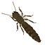 termite life 3d 3ds