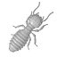 termite life 3d 3ds