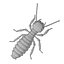 termite life 3d 3ds