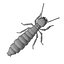 termite life 3d 3ds