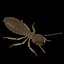 termite life 3d 3ds