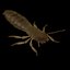 termite life 3d 3ds