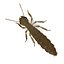 termite life 3d 3ds