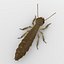 termite life 3d 3ds