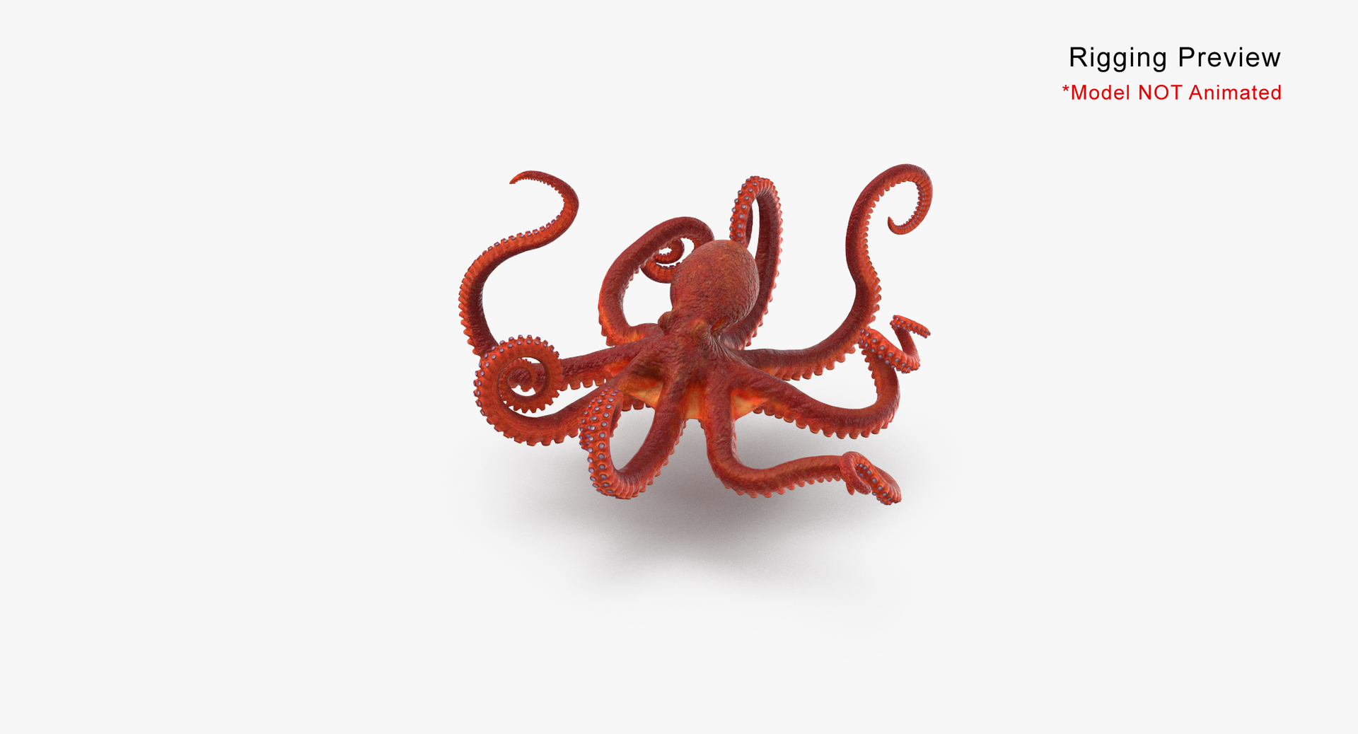 Octopus Tentacle 04 ~ 3D Model ~ Download #90891356