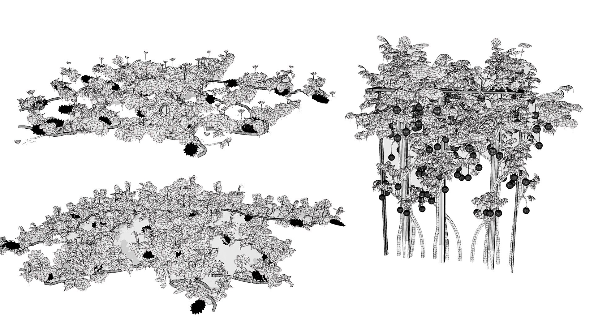3D Kiwano Horned Melon Plant Set with Trellis https://p.turbosquid.com/ts-thumb/mZ/qso7Dg/1k/wirel/jpg/1786659172/1920x1080/fit_q87/ee996afcf58eccac254526a4a60671997f8540a1/wirel.jpg