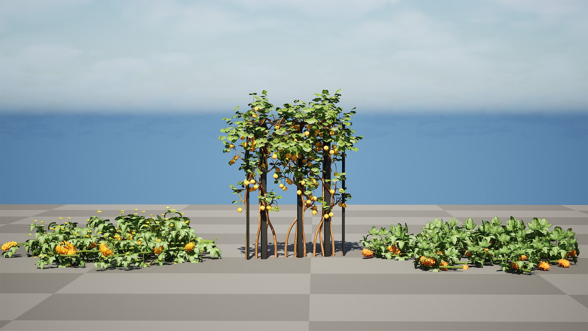 3D Kiwano Horned Melon Plant Set with Trellis https://p.turbosquid.com/ts-thumb/mZ/qso7Dg/2i/highresscreenshot00000/jpg/1786659171/1920x1080/fit_q87/c0248438391357a99e3db80ef4a4c67866731c16/highresscreenshot00000.jpg