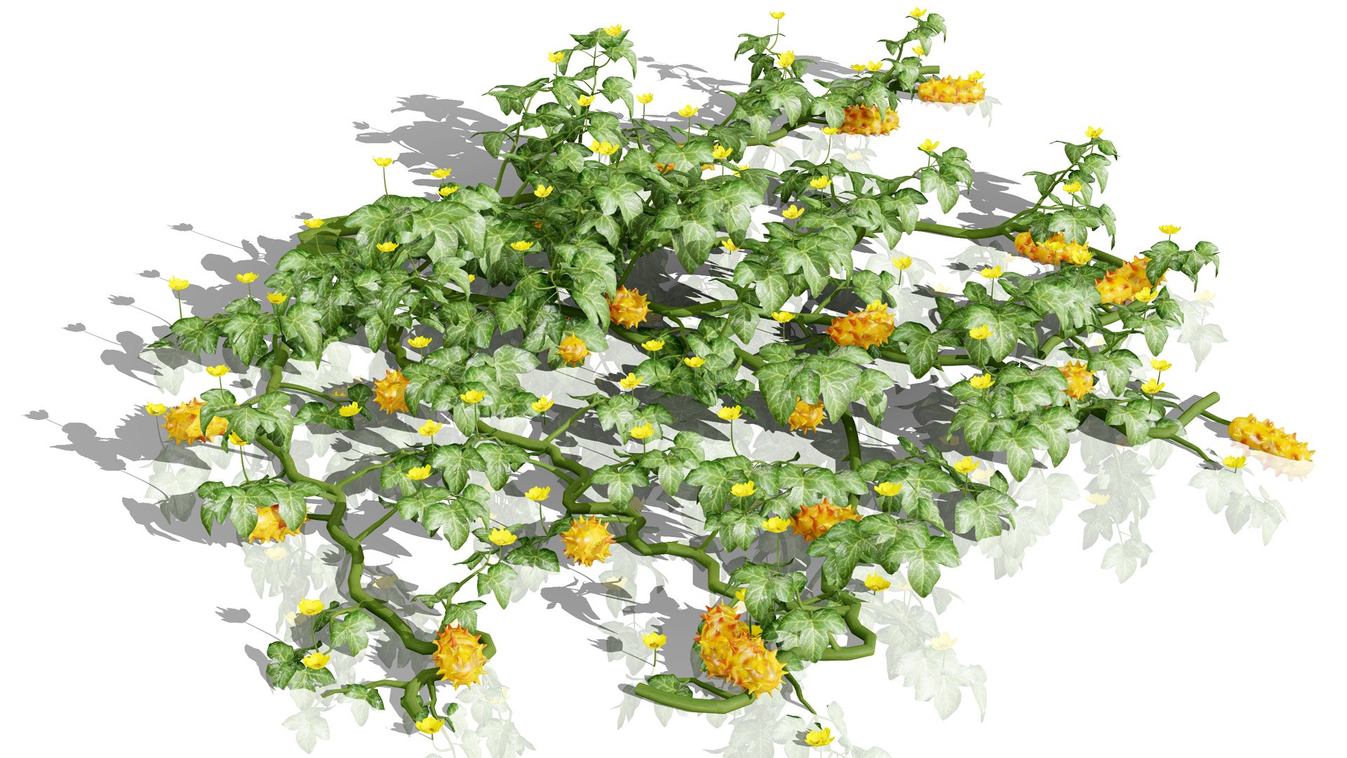 3D Kiwano Horned Melon Plant Set with Trellis https://p.turbosquid.com/ts-thumb/mZ/qso7Dg/3C/3africankiwanotreeongroundl/jpg/1786659170/1920x1080/fit_q87/ec8ed7f2df517a292ec2f3156659c85ff44f1060/3africankiwanotreeongroundl.jpg