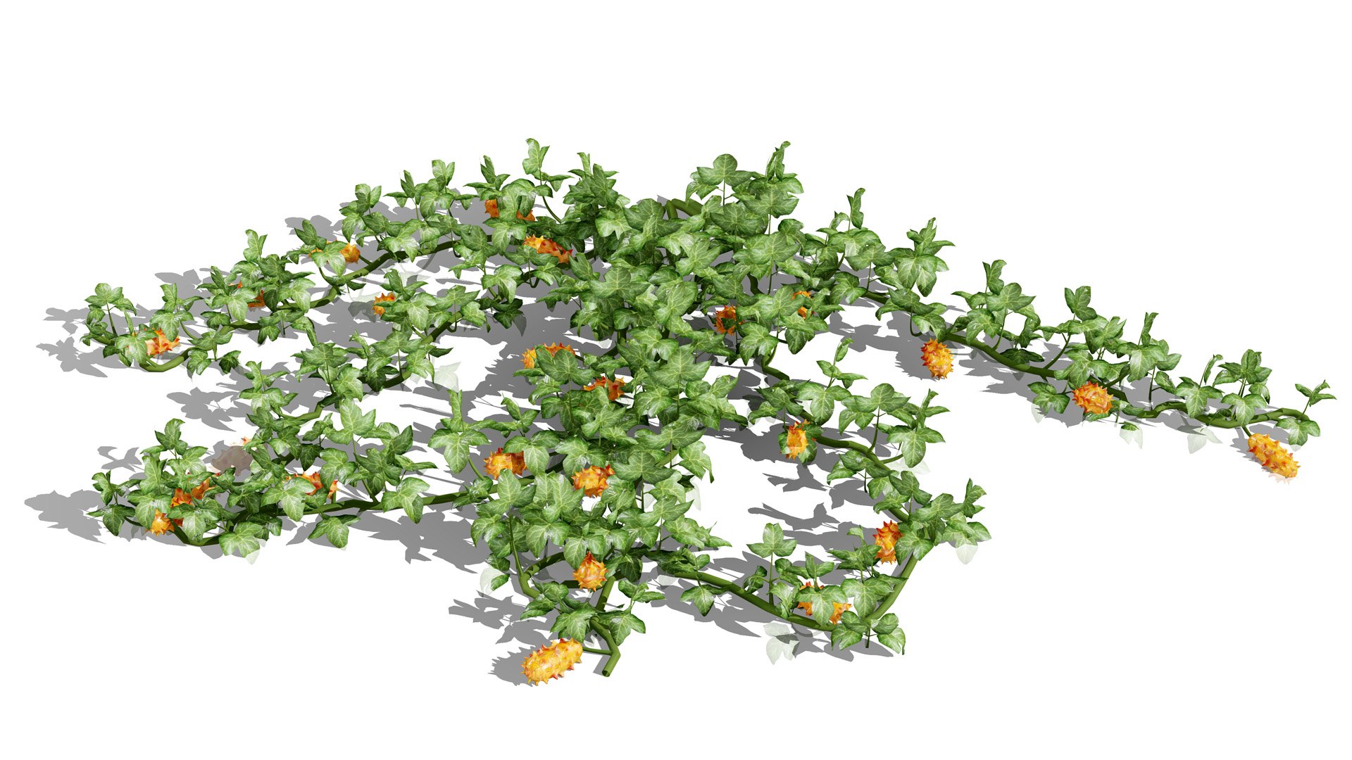 3D Kiwano Horned Melon Plant Set with Trellis https://p.turbosquid.com/ts-thumb/mZ/qso7Dg/Os/2kiwanoplantivyl/jpg/1786659169/1920x1080/fit_q87/76f8756e799d0b51311b06d0b2ad8fac5d0ce49e/2kiwanoplantivyl.jpg