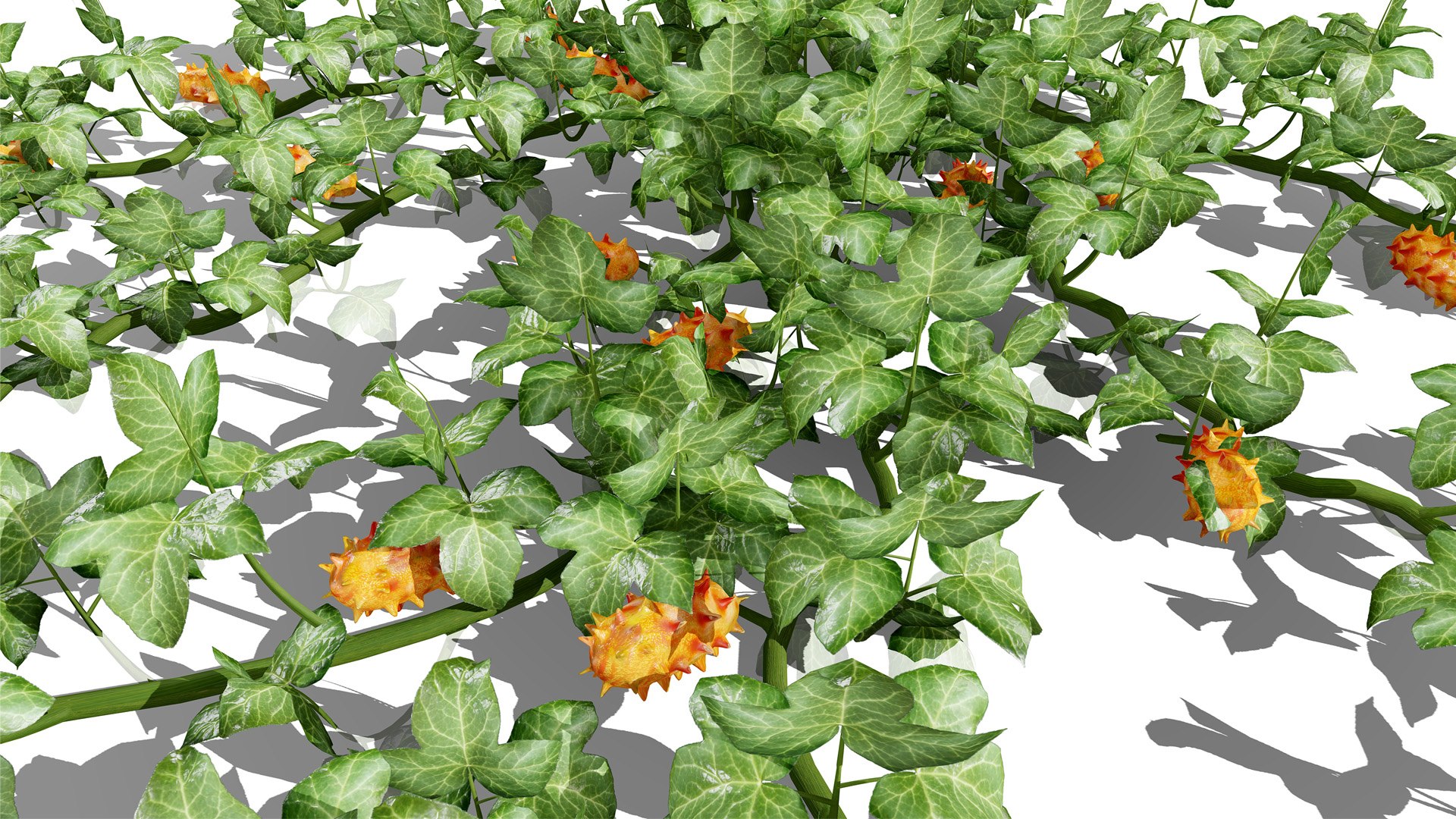 3D Kiwano Horned Melon Plant Set with Trellis https://p.turbosquid.com/ts-thumb/mZ/qso7Dg/e1/2kiwanoplantivyz324l/jpg/1786659170/1920x1080/fit_q87/8cd0995a60684175da5cf86d2ea51ead910078b9/2kiwanoplantivyz324l.jpg