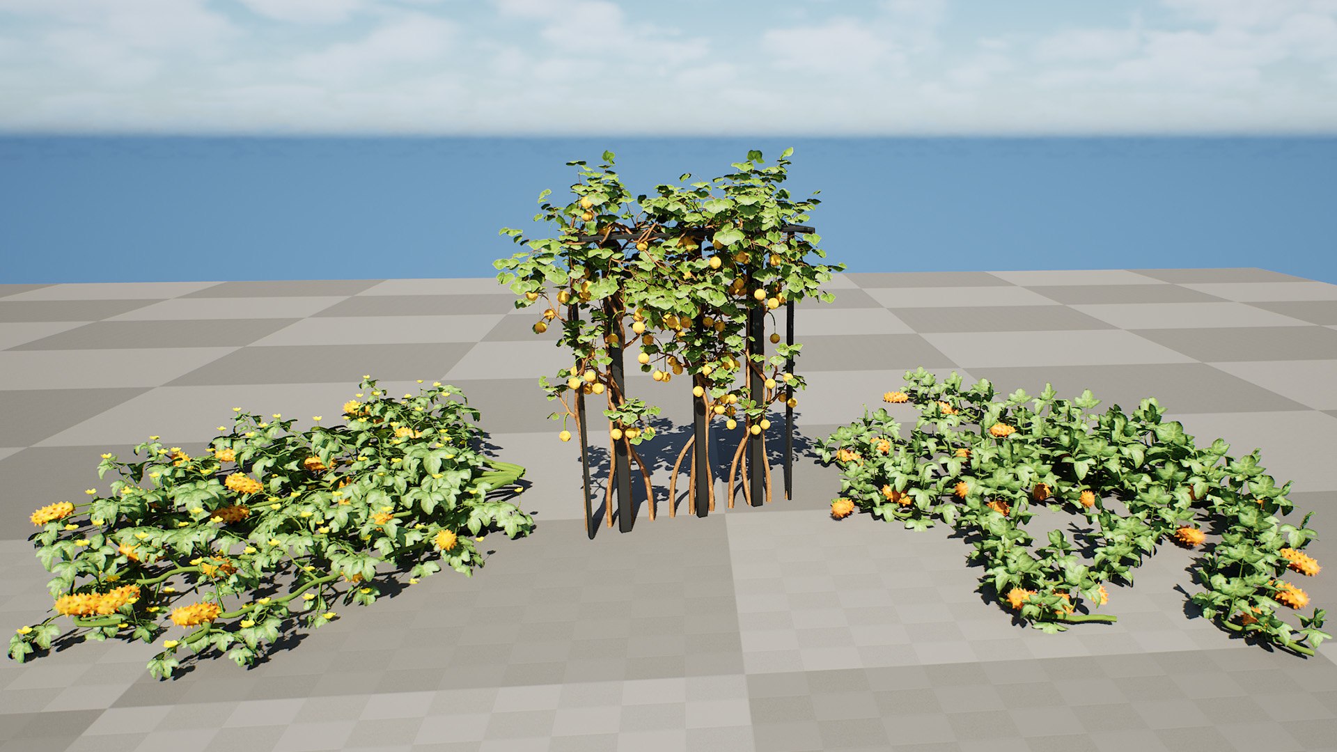 3D Kiwano Horned Melon Plant Set with Trellis https://p.turbosquid.com/ts-thumb/mZ/qso7Dg/hl/highresscreenshot00001/jpg/1786659172/1920x1080/fit_q87/4995ebe93fc0a2723e725665c2a9ce878ff3454c/highresscreenshot00001.jpg