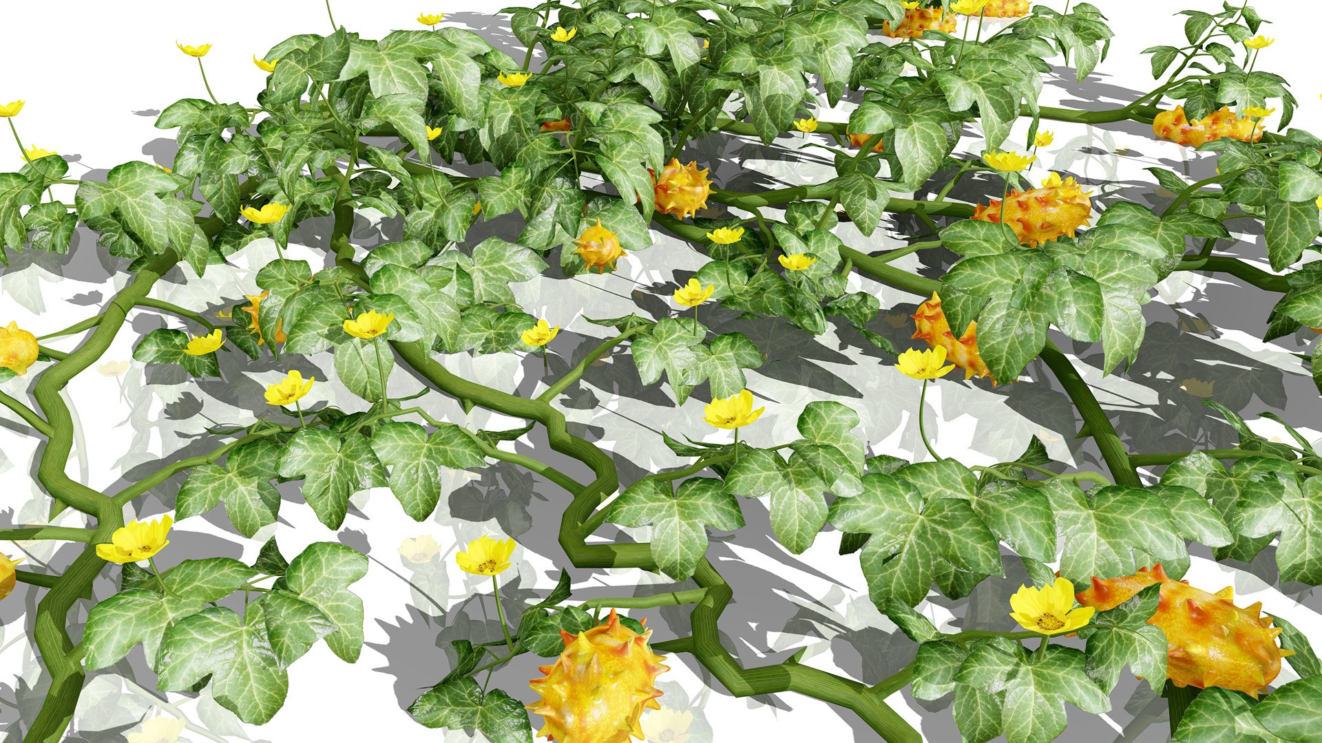 3D Kiwano Horned Melon Plant Set with Trellis https://p.turbosquid.com/ts-thumb/mZ/qso7Dg/mD/3africankiwanotreeongroundz32l/jpg/1786659171/1920x1080/fit_q87/dadb02023d2452d26bbb206f1b24b0c9051c9e05/3africankiwanotreeongroundz32l.jpg